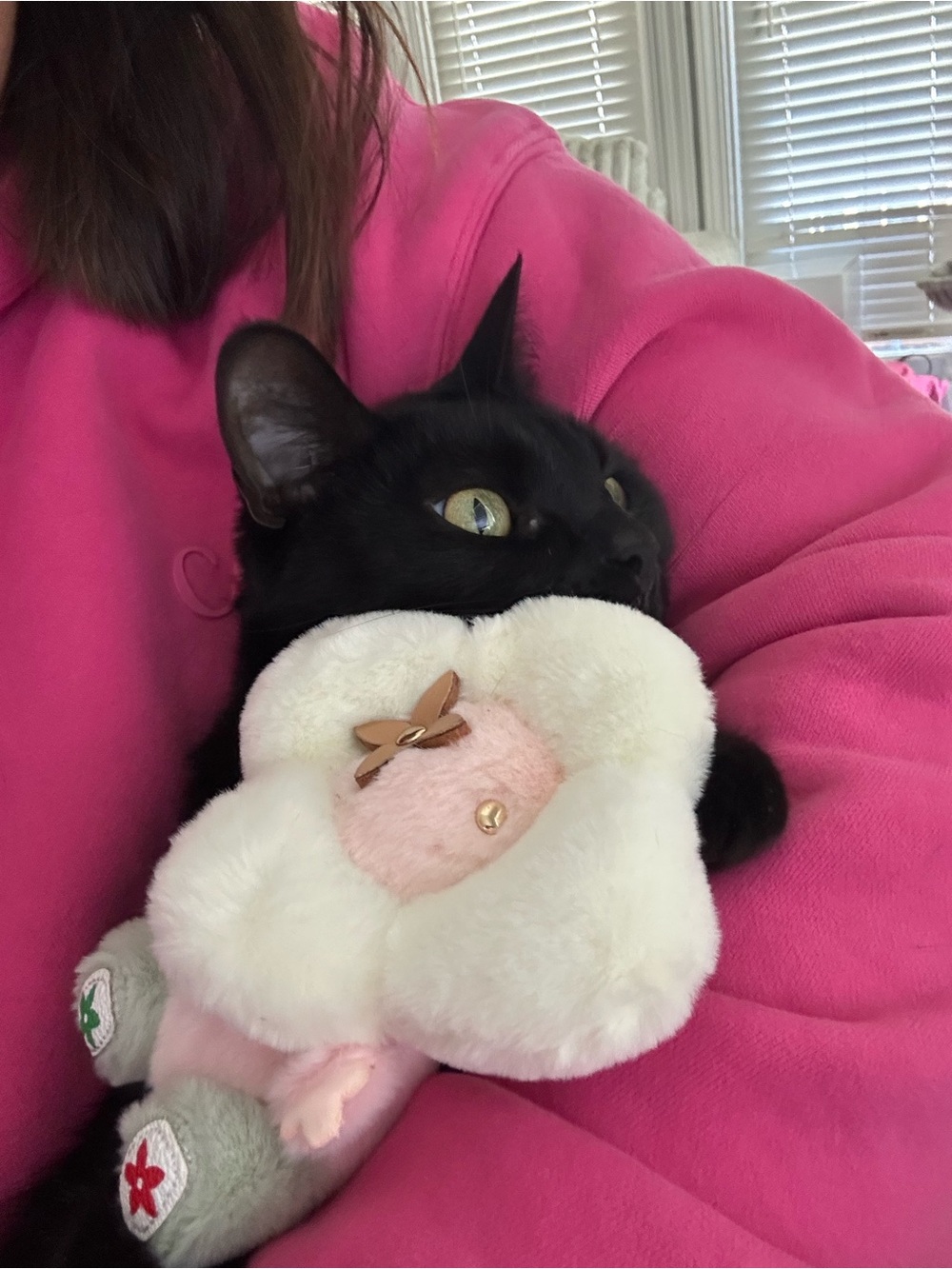 Meredith is Live 🦩🦩🦩 - Picture 5 of 8
